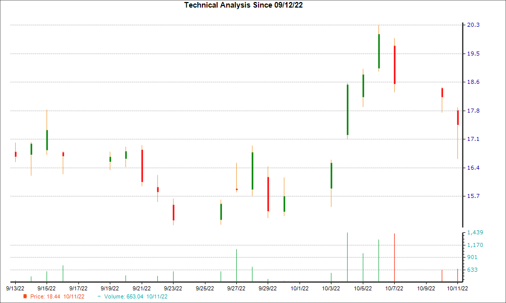 1-month candlestick chart for CPNG