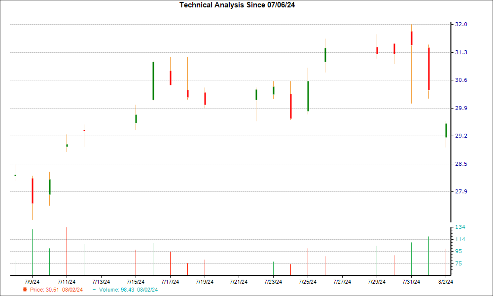 1-month candlestick chart for ZWS