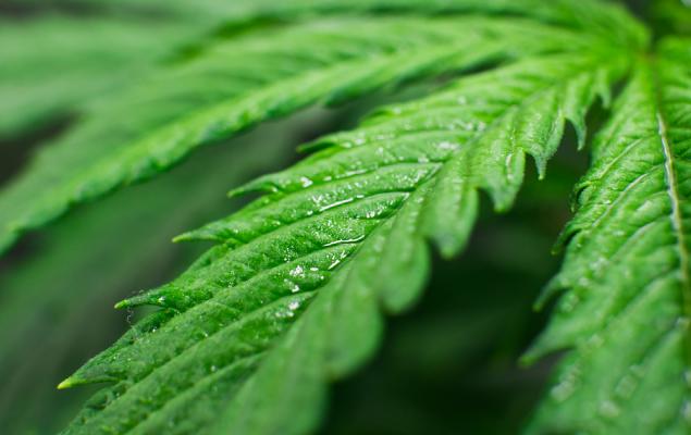 Cannabis ETFs Jump on Imminent Rescheduling News