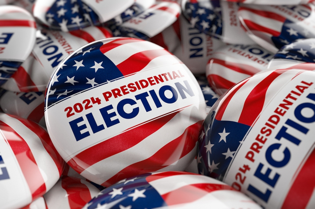 Navigating Investments Through the US Presidential Election