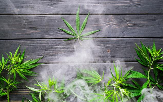 Cannabis ETFs Outperform in January