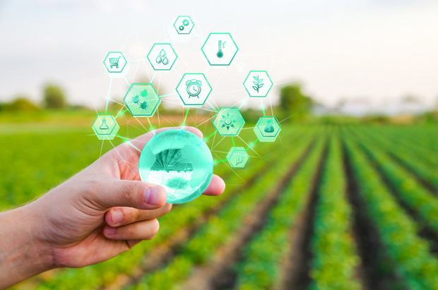 4 Agriculture - Products Stocks to Watch in a Promising Industry