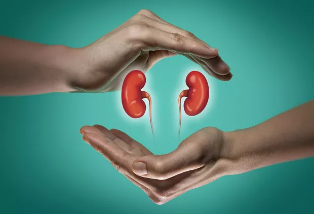 BD Launches Elyra Thulium Fiber Laser System for Kidney Stone Care