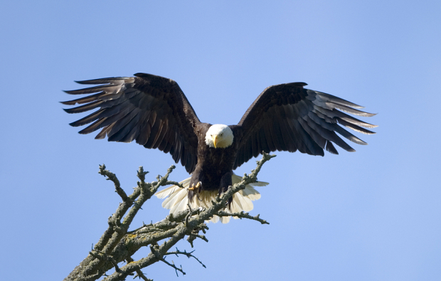 Tariff Effects Have Landed: Zacks JULY Strategy