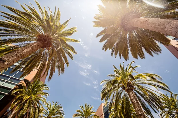 AI's Impact Emerges: A 5.5% California Unemployment Rate
