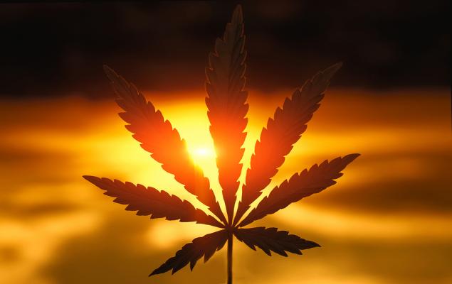 Marijuana ETFs Breezing Past S&P 500: More Growth Ahead?