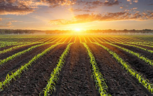 Top Stock Picks for Week of March 20, 2023