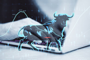 The Bull Market is Just Beginning. Time to Jump In