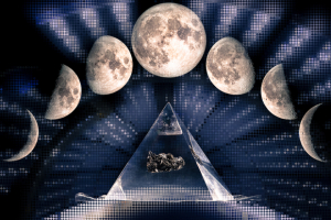 5 ETFs That Beat the Market in the First Half of 2025