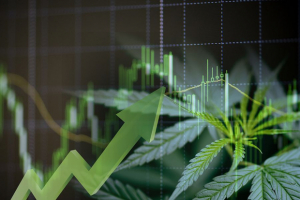 Marijuana Sales Are Soaring and the Sky's the Limit