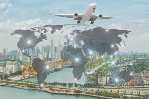 Stocks of Top U.S. Importers & Exporters: June 2025 Strategy