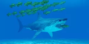 3 ETFs Quietly Rallying Through Market Uncertainty 