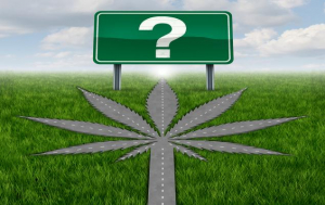 Should You Buy Beaten Down Cannabis Stocks & ETFs Now? Should You Buy Beaten Down Cannabis Stocks & ETFs Now?