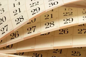 Q2 Earnings Season Preview: What to Expect